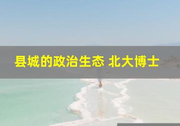 县城的政治生态 北大博士